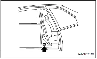Nissan Ariya. Fahrzeugidentifikation