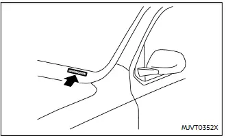 Nissan Ariya. Fahrzeugidentifikation