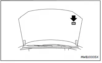 Nissan Ariya. Fahrzeugidentifikation