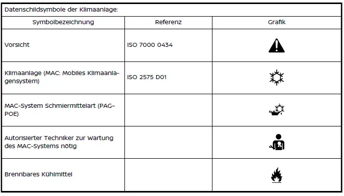 Nissan Ariya. Fahrzeugidentifikation
